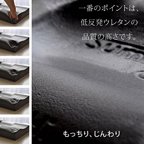 Amazon｜Dr.Smith（ドクタースミス）炭フォーム枕 ジザイ ロータイプ
